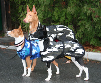 Wintercoats