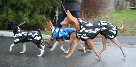 wintercoats1