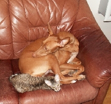 Enya and Kyra