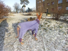 Juno_back_Pjs