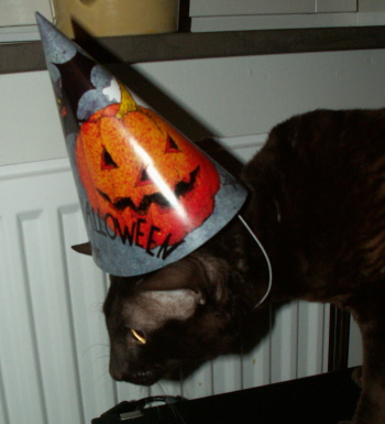 Sture Halloween