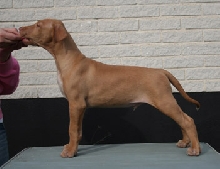 Enya boy stack 8wks