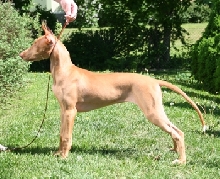 Zahra 3,5 months