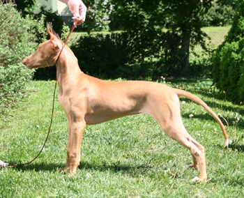 Zahra 3,5 months