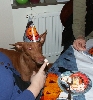Enya halloweencake