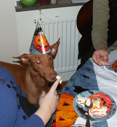 Enya halloweencake