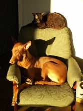 Enya in the sun 2