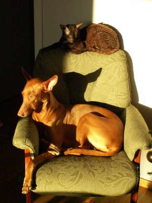Enya in the sun 2