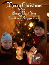 Christmas greetings