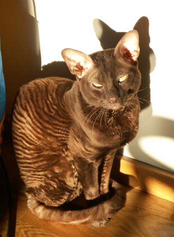 Sture in the sun
