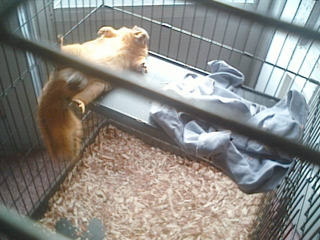 Just Chillin