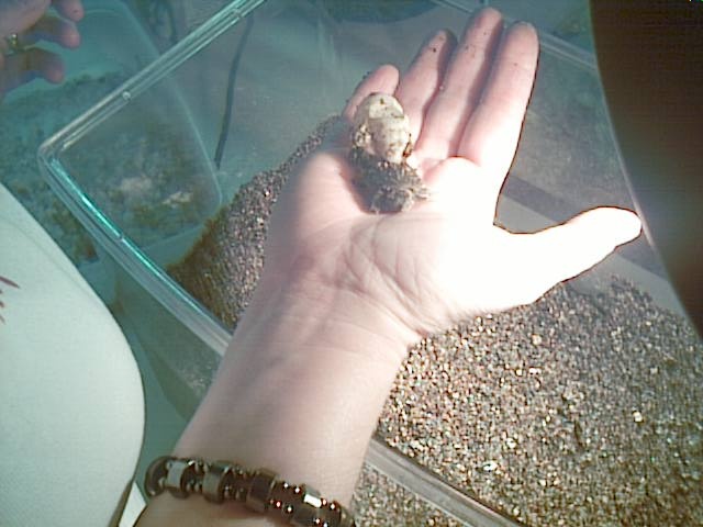 Welcome To The World