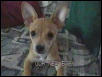 Our New Baby Dori
