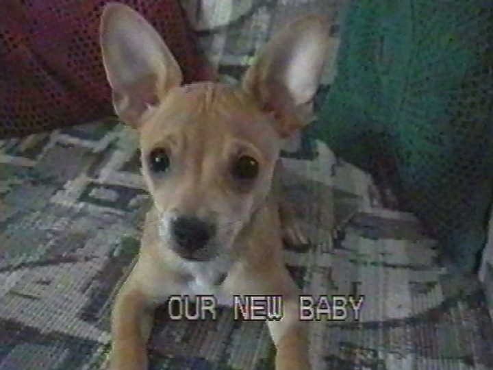 Our New Baby Dori