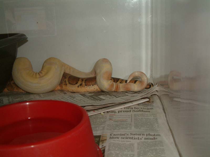 2005 breeding season