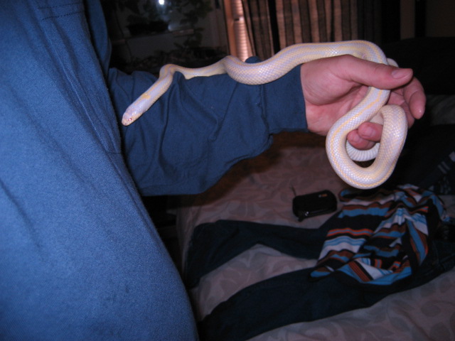 hanging out