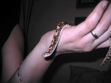 my new baby