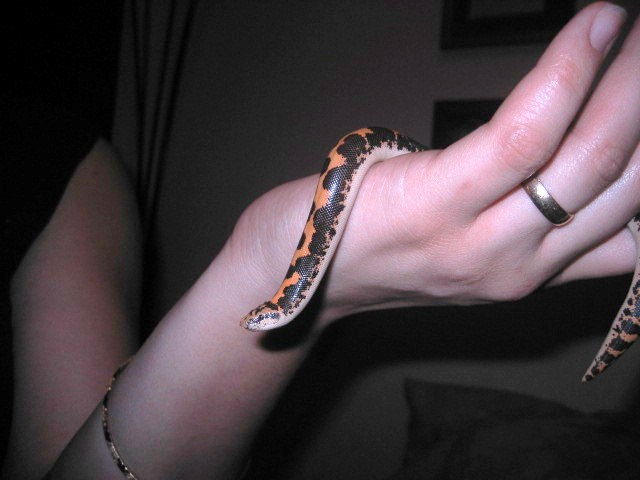 my new baby