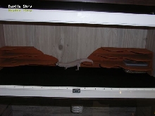 leopard gecko hide.
