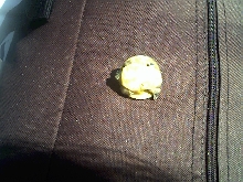 yellow paint3