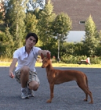 IzBiz