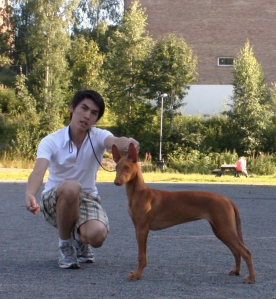 IzBiz