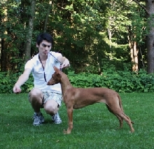 Simon & Izzie