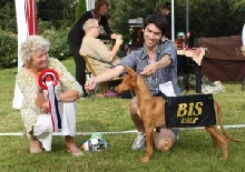 Izzie Best In Show-puppy!