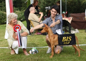 Izzie Best In Show-puppy!