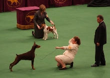 Westminster 2010