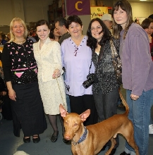 Westminster 2010