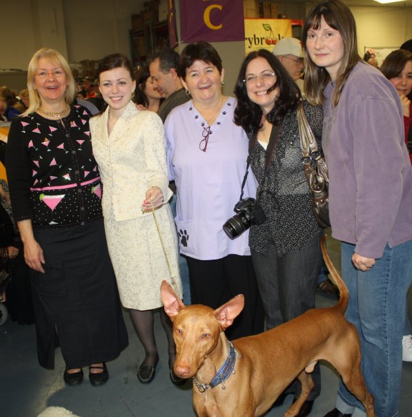 Westminster 2010