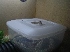 coacwhip in tub