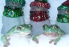 Hoppy Holidays From Pepe and Bendito!