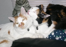 Kimba and Gulliver
