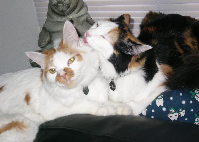 Kimba and Gulliver