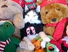 Can you find kimba?