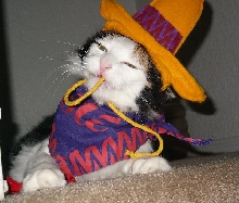 Kimba Halloween 2005