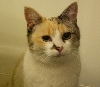 New Foster
