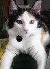 Kimba