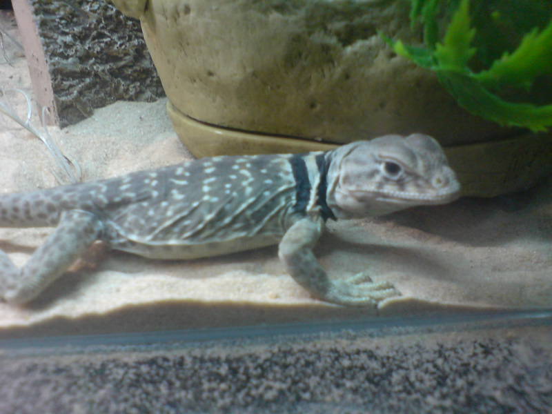 my female