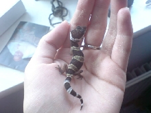 my smallest baby
