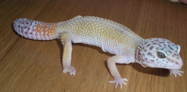 Hypo 02.01.07
