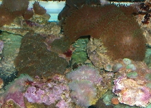 Saltwater Photos