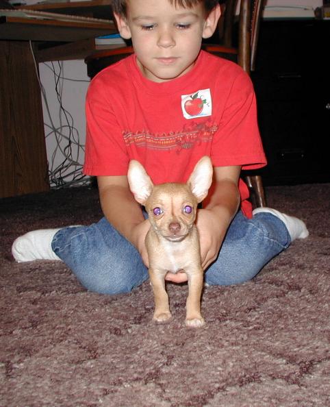 look at my ears