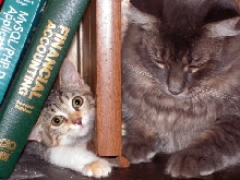 Jess and Amelia