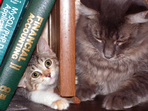 Jess and Amelia