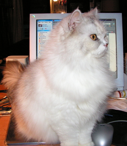 WhyMommyCan'tChat