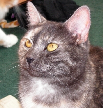 Tael'r as a Young Woman