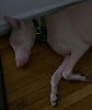 wes sleeping
